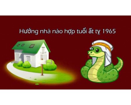 Sinh năm 1965 hợp hướng nào? Xem hướng nhà tuổi Ất Tỵ